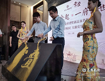 【建發(fā)·雍龍府】萬(wàn)象城旁，6米層高疊墅驗(yàn)資首日人氣完爆世界杯開幕式?。。?